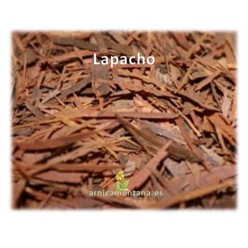 Lapacho Planta